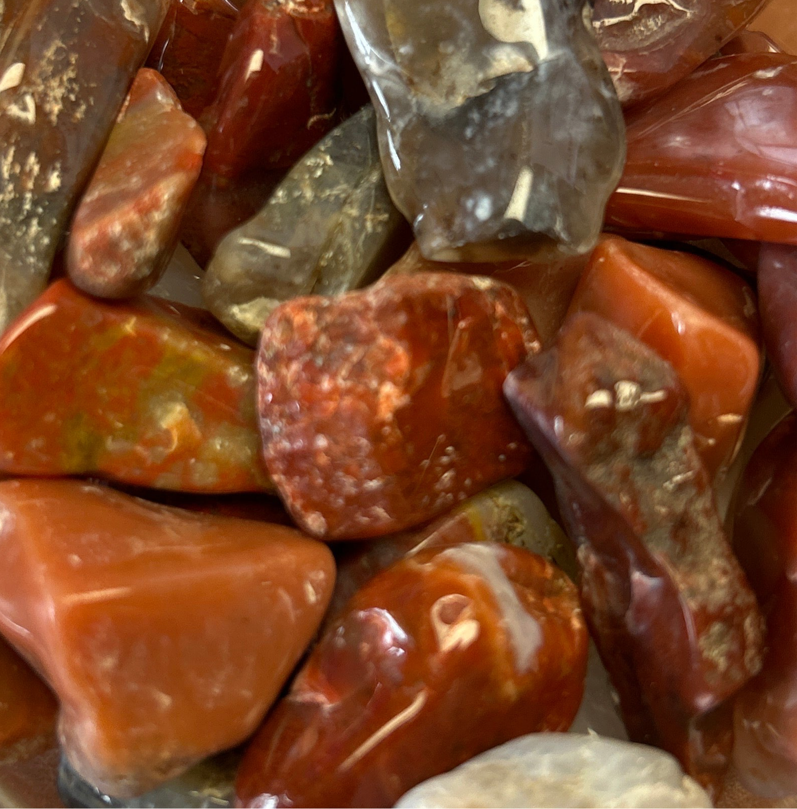Utah Agate Tumbles Small BLT
